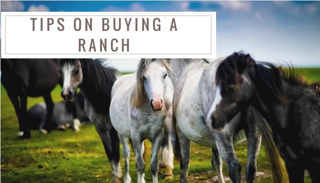 How to buy a ranch in Sedona